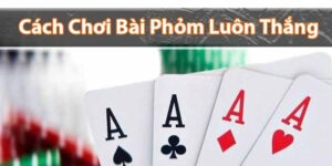 Cách Chơi Bài Phỏm Siêu Hay Và Luật Chơi Chi Tiết Nhất