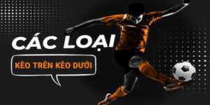 Các Loại Kèo Trên Dưới - Hướng Dẫn Chơi Kèo Trên Kèo Dưới