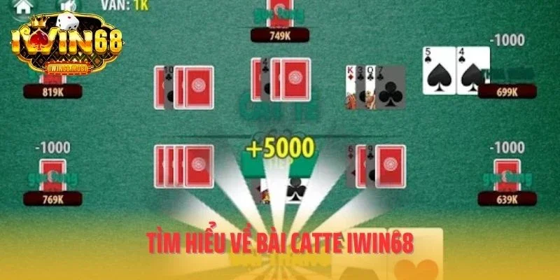 Tìm hiểu về bài catte IWIN68