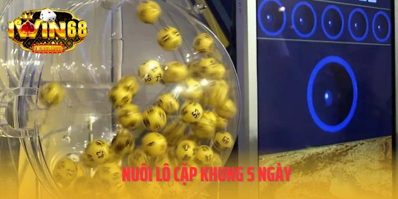 Nuôi lô cặp khung 5 ngày