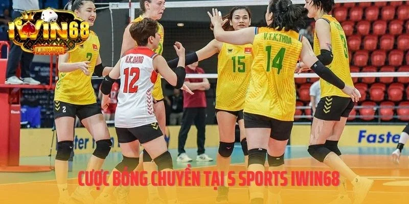 Cược bóng chuyền tại S Sports IWIN68