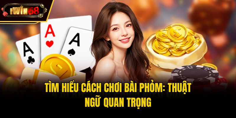 Tìm hiểu cách chơi bài phỏm: thuật ngữ quan trọng